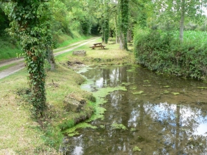 L'Etang de Brie en 1997. On aperçoit le puit au fond (Ph G. BRANCHUT 2007)