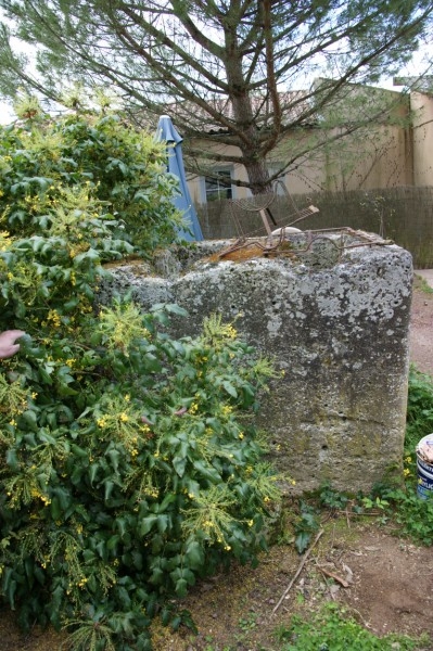 La pierre à chiens du Logis des Frauds. Taillées dans un bloc de pierre, 2 compartiments permettaient d'y loger un chien dans chaque. On voit bien l'endroit où le cou du chien était posé. (Ph. JP GUILLOU)