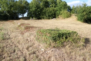 Le puits du Château de La Jauvigère recouvert de lière (Ph. G. BRANCHUT - 08/2010)