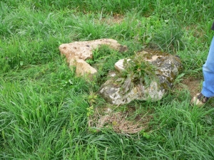 Restes du dolmen de La Combe en 2007. On aperçoit, en bas à droite, une pointe qui servait probablement d'assise de la pierre dans l'encoche dune autre pierre verticale.(Ph. G. BRANCHUT)