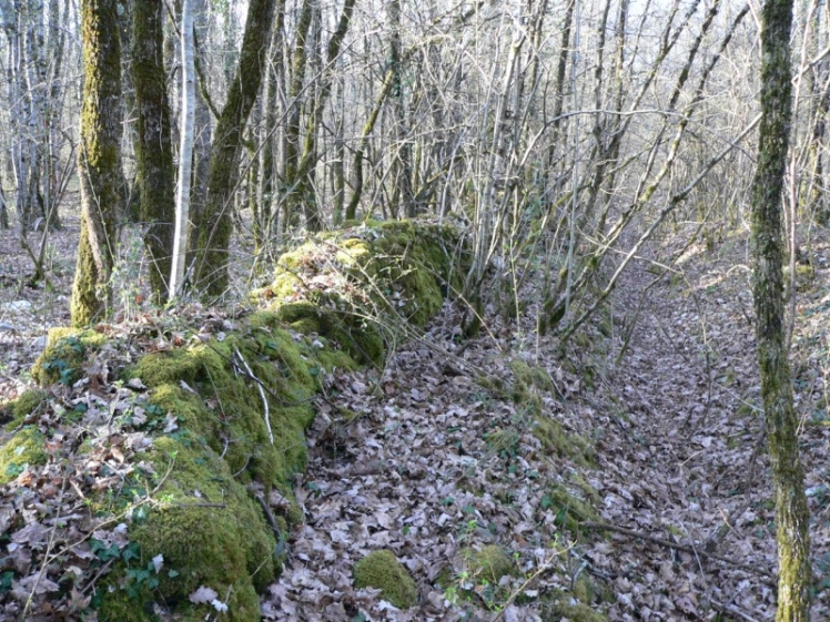 Restes d'un mur le long d'un fossé. (Ph. G. BRANCHUT 2009)