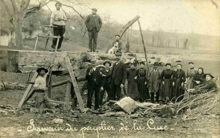 Souvenir du peuplier de la Cure. Il est débité dans la vallée du Bourg. Remarquer les outils de l'époque et sur quoi le tronc est maintenu. (Col. Ch. RAMBLIERE)